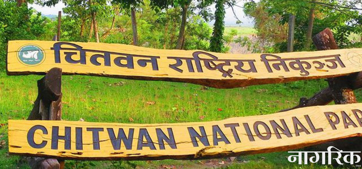 गैँडाको खाग खरिदबिक्रीमा संलग्न भएको आरोपमा ६ जना पक्राउ