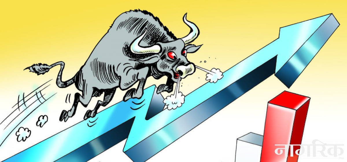 नेप्सेमा सामान्य अङ्ककाे सुधार