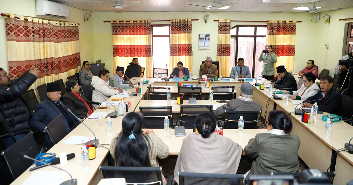 संवैधानिक परिषद्सम्बन्धी विधेयक पारित