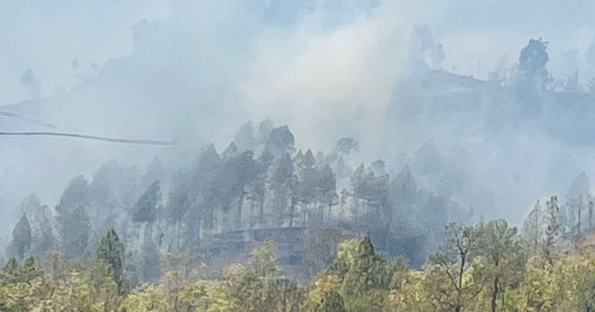 बागलुङमा दुई हजार एक सय ७४ हेक्टर वनमा क्षति