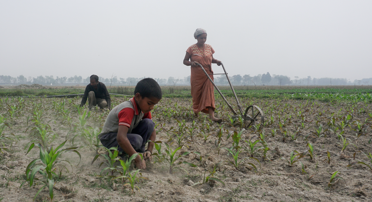 झोलुङ्गे पुलको अभावमा आफ्नै देशबाट टाढिएर जिउन बाध्य मेचीपारीका बासिन्दा