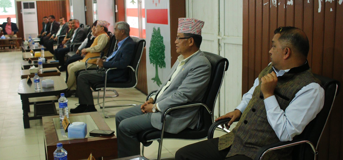 कांग्रेस केन्द्रीय समिति र संसदीय दलको संयुक्त बैठक जारी (तस्बिरहरु)