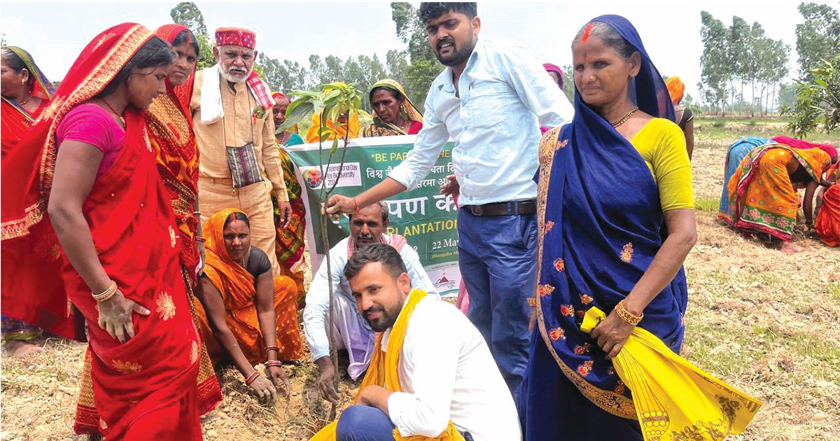 मुक्तिनाथ विकास बैंकको वृक्षरोपण
