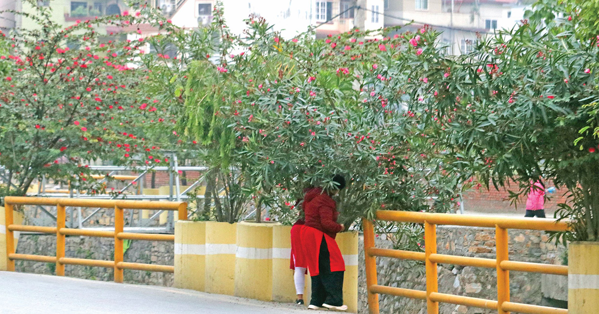 राजधानीका प्रिय ‘फूलप्रेमी’हरू!