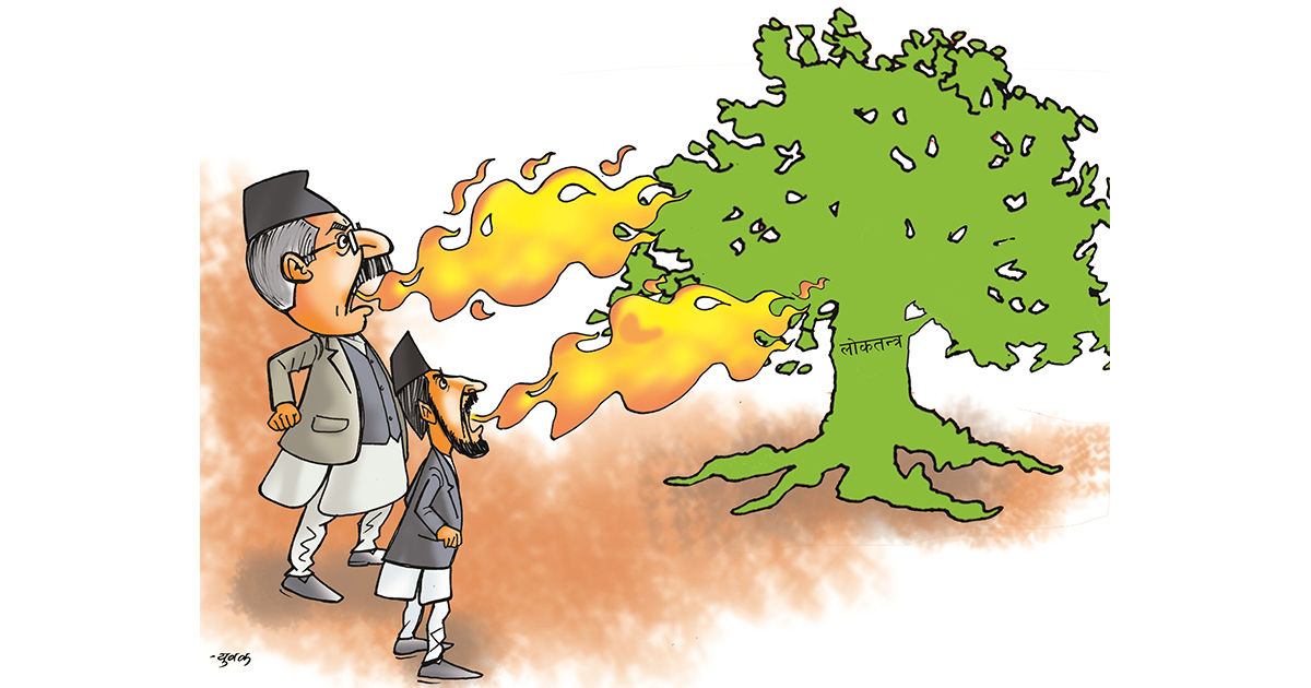 द्वन्द्वउन्मुख देश