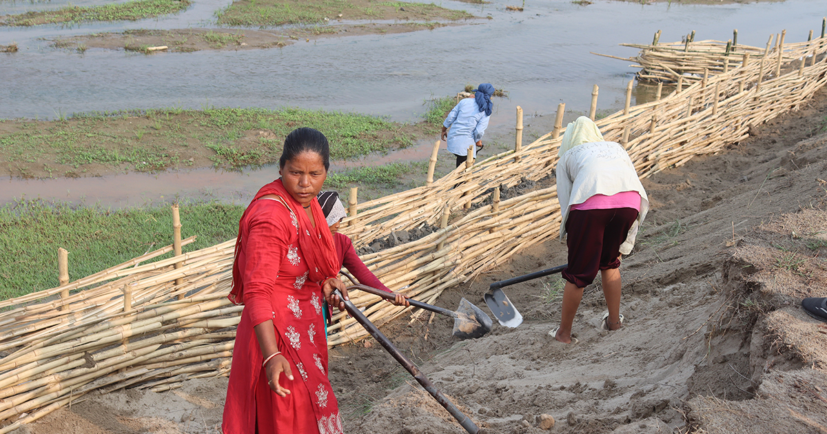 भूक्षय नियन्त्रणमा जैविक तटबन्ध प्रभावकारी