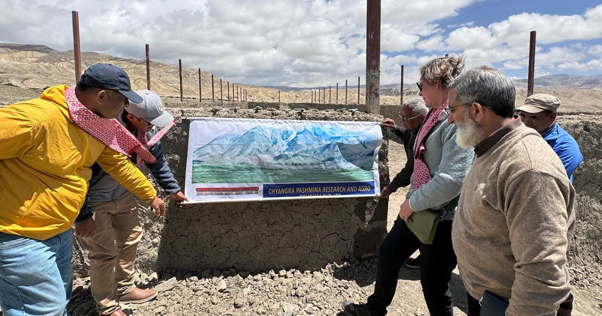 एकीकृत च्यांग्रा पस्मिना फार्म स्थापना