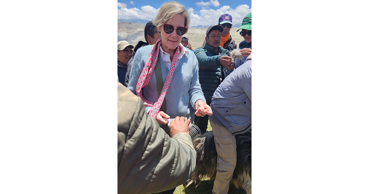 मुस्ताङी च्यांग्राको भुवा पश्मिनाका लागि उपयुक्त