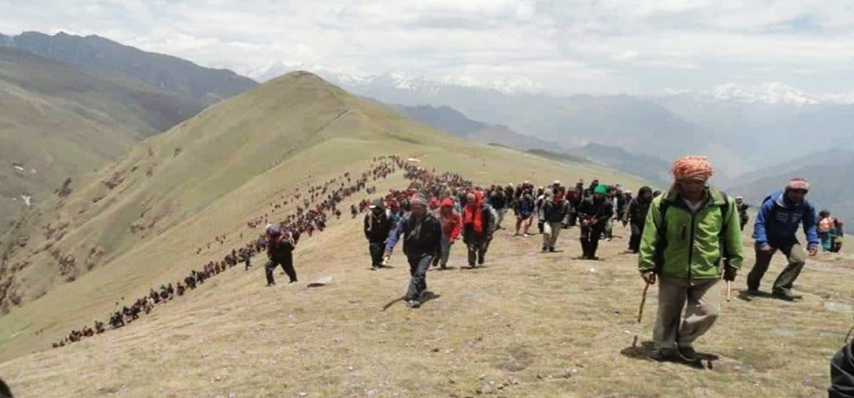 यार्सा टिप्न गएका पाँचजनाको मृत्यु, पाँच सय बढीको उपचार