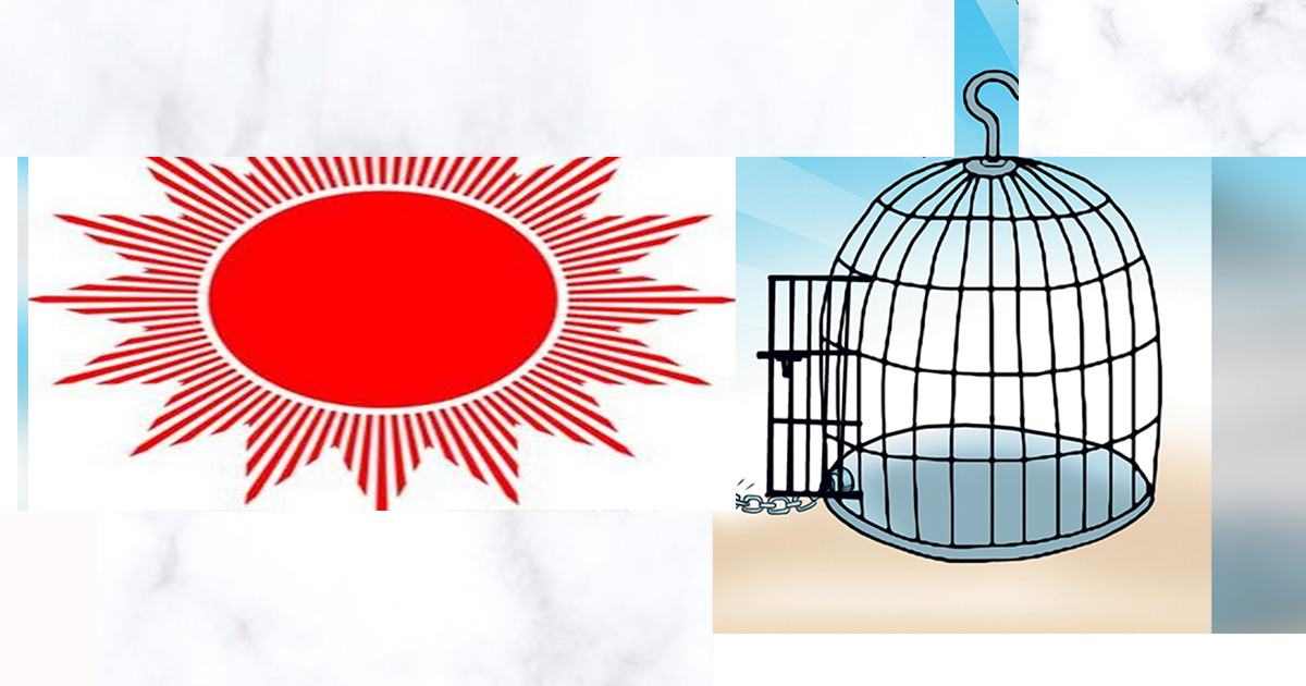 ‘चुनावी गठबन्धनले महिला अधिकारमा अंकुश’