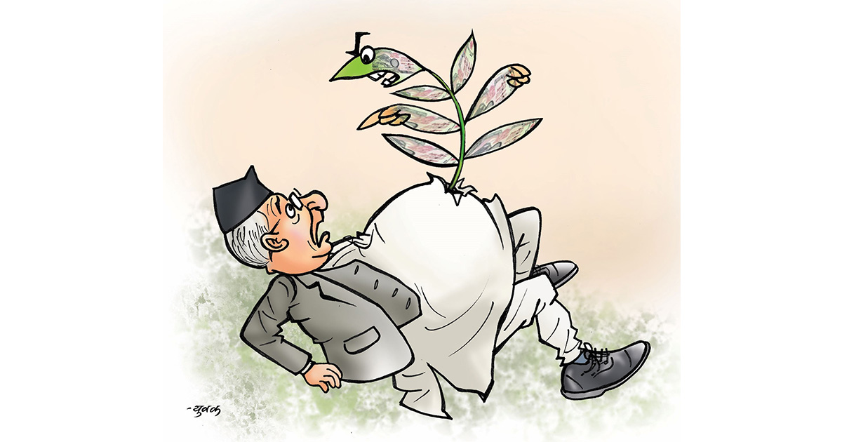 घाँसपातको उत्पात!