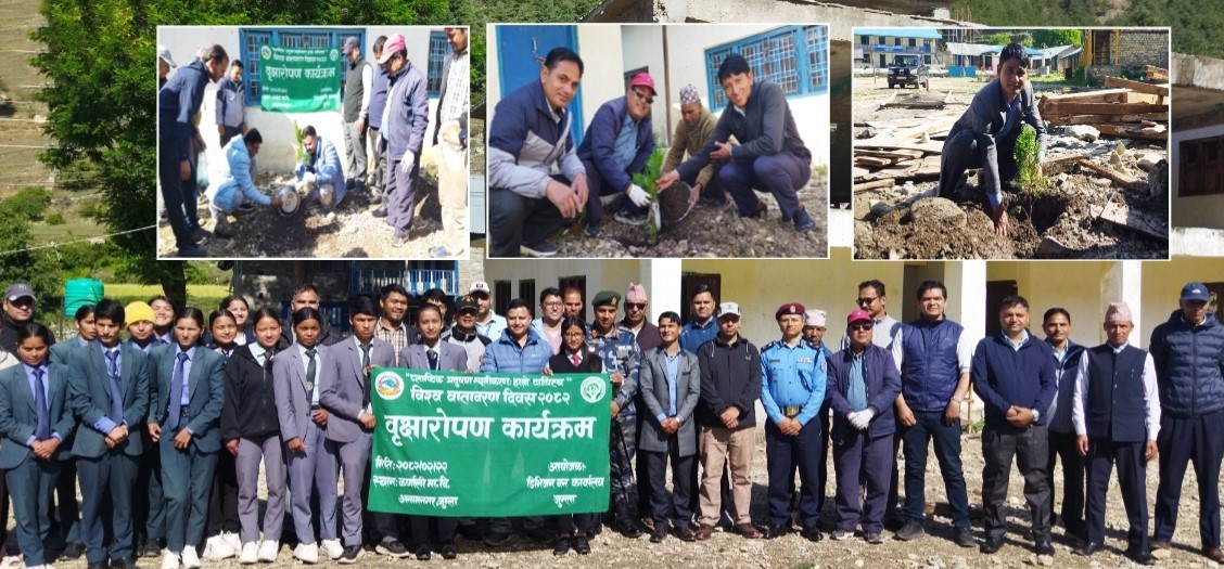 विश्व वातावरण दिवसका अबसरमा वृक्षारोपण कार्यक्रम संचालन