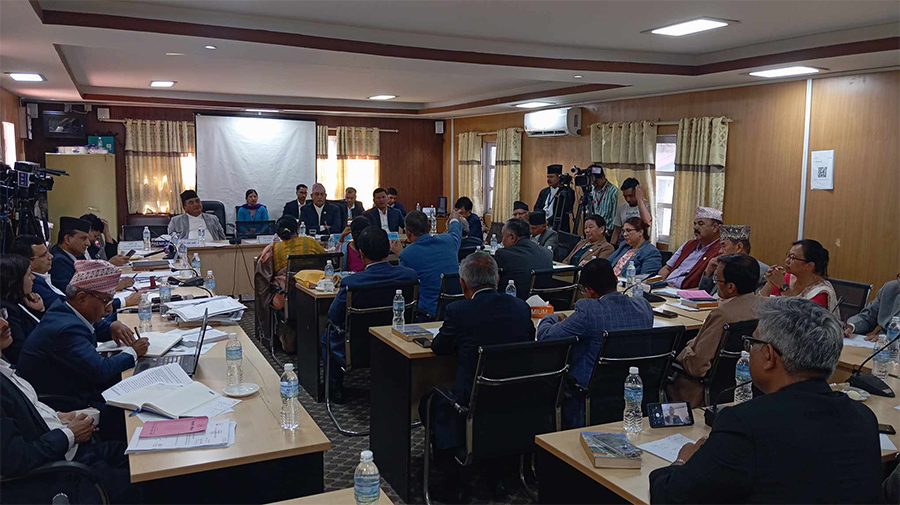 नागरिकता विधेयकमा एनआरएनएको सुझाव लिँदै संसदीय समिति